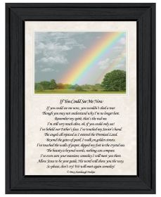 "If You Can See Me Now" (Double Rainbow) by Artisan Trendy Decor 4U; Ready to Hang Framed Print; Black Frame