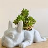 1pc Mini Resin PuppyFlower Pot, Succulent Planter, French Bulldog Shape Cute Bonsai Flower Pots, Cute Dog Flower Pots, Air Plant Holder, For Home Gard